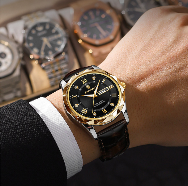 Swiss Brand Waterproof Luminous Men's Quartz Watch