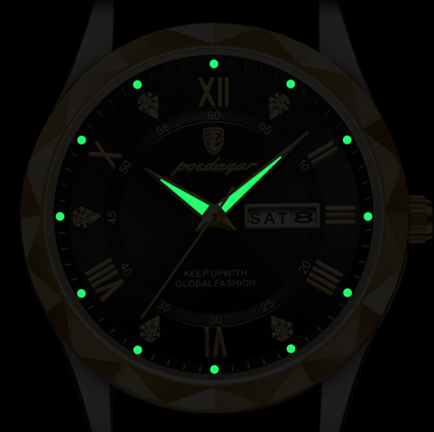 Swiss Brand Waterproof Luminous Men's Quartz Watch